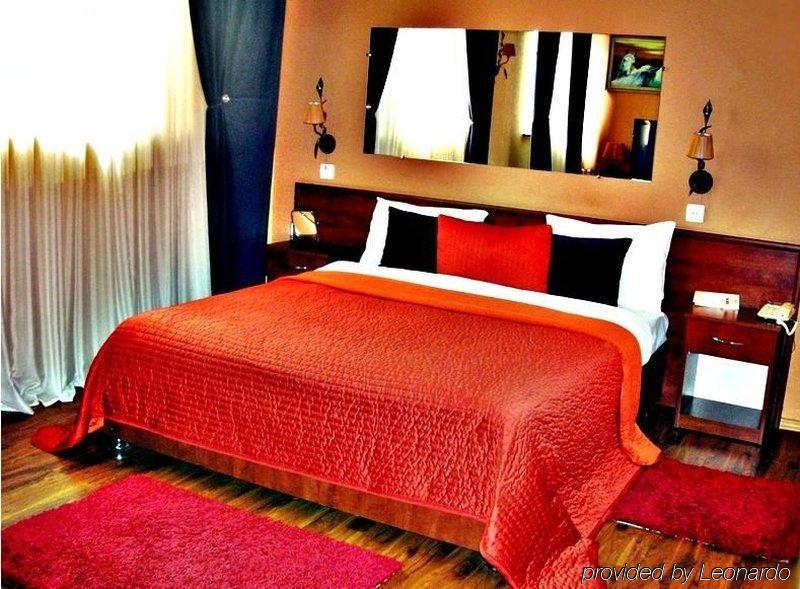Art-Rustic Boutique Hotel Kişinev Oda fotoğraf